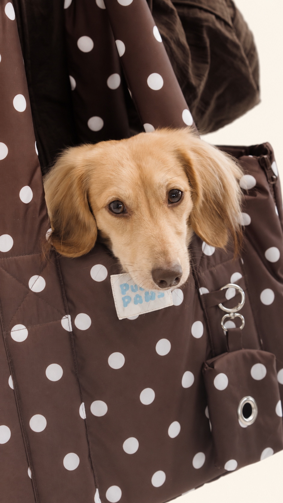 Puffy Paws Brown Polka